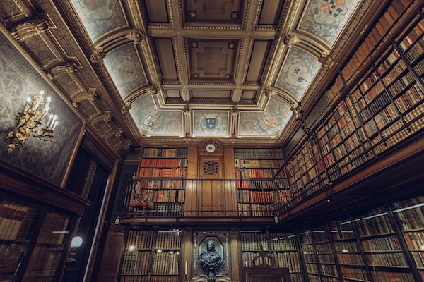 Elaborate coved ceiling and coffered ceiling in a library.